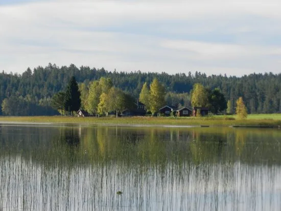 Här i skogen vid sjön Vanbro mellan Vansbro och Mora hittade en jägare ett kranium från en människa och polisen har inlett en mordutredning. Bild: blomstervagen.se