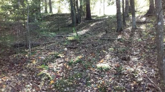 20161002_131120