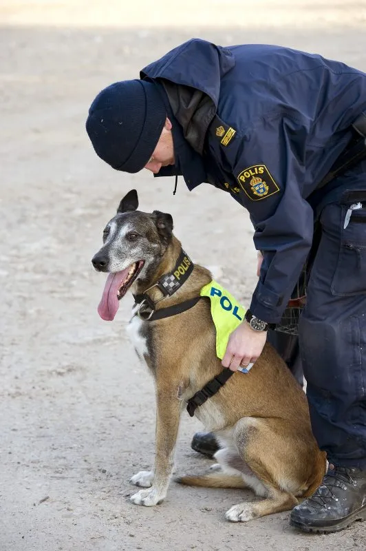 Polisen söker med hundpatruller efter den eller de personer som har utsatt kvinnan för mordbrand. Bild: polisen.se