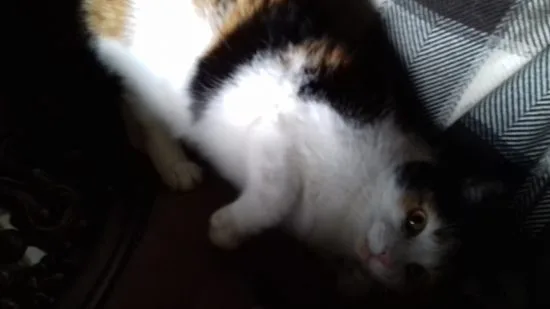 sigrid, selfies m m 003
