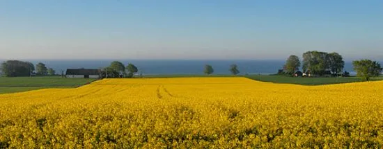 En man har mördat sin hustru på en gård utanför Ystad. Foto: ostsvenskaturistradet.se