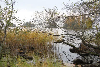 Mordet skedde i ett sommarhus vid Hjälmaren Foto: lansstyrelsen.se
