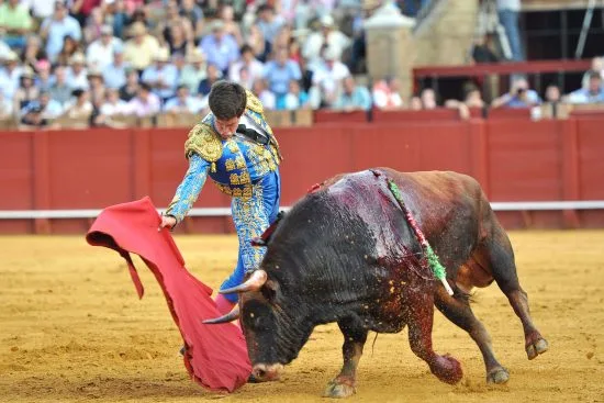 Tjurfäktning i Spanien Copyright: Kiko Jiménez/Dreamstime.com