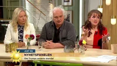TV 4:s nyhetspanel idag, fr v Anna Dahlberg, Expressen, Göran Greider, Dala-Demokraten samt jag själv Bild: TV4