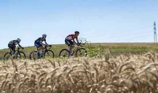 Tour de France 2016 Copyright: Radu Razvan Gheorge/Dreamstime.com