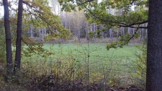20161002_132433