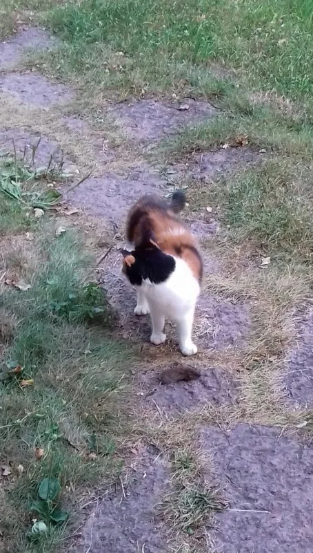 Sigrid med råtta 003