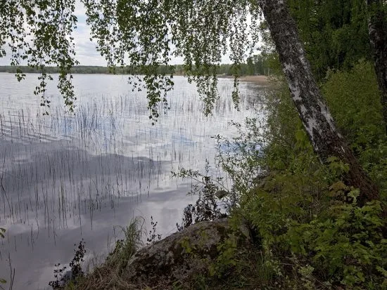 Vid Hjälmarens strand Foto: orebro.se