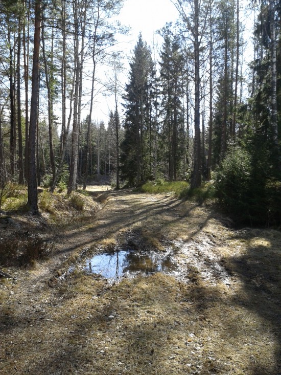 Det är inte den 1 april idag, bara den 28 mars Foto: Elisabet Höglund