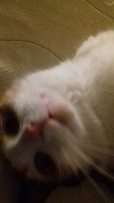sigrid, selfies m m 011