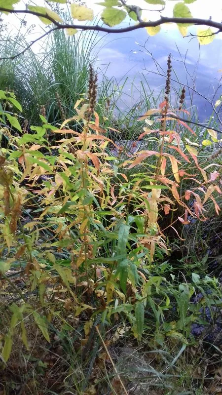 20161002_130537