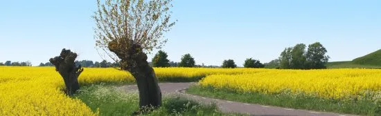 Vy från Vellinge Bild: vesab.se