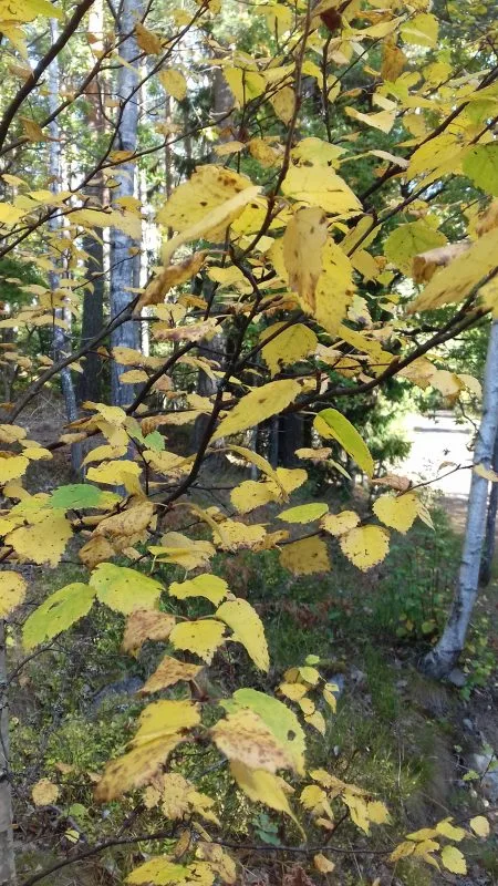 20161002_125102
