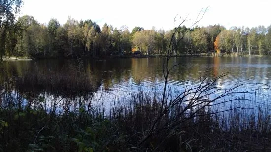 20161002_130330