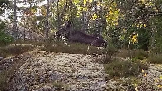 20161006_151348