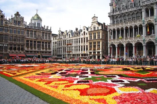 Blomsterklädda Grand Place i Bryssel Copyright: Nivi/Dreamstime.com