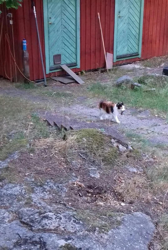 Sigrid med råtta 002