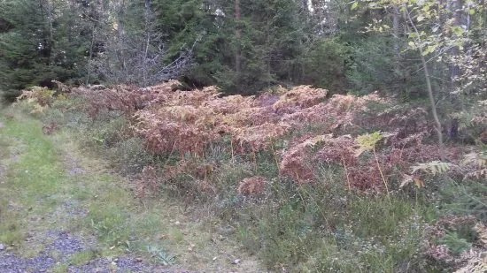 20161002_132624
