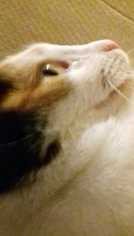 sigrid, selfies m m 031