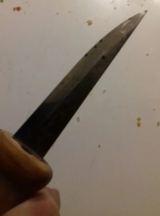 ekorrar och knivar 028