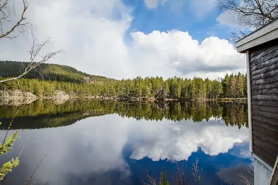 I en hyresstuga utanför Ludvika mördades i början av september en 65-årig kvinna av sin väninna enligt polisens misstankar. Foto: hemnet.se