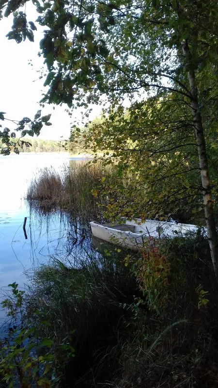20161002_130725