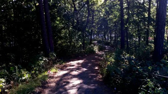 En 30-årig man utsattes för ett mordförsök med flera skott här i Tranebergsparken i Stockholm. Foto: mapio.net